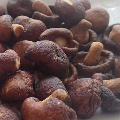 شراء مكنسة فطر صغيرة مجففة لا تضيف اللون للأطفال الحوامل online manufacture